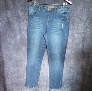 Reitmans Blue Skinny Jeans